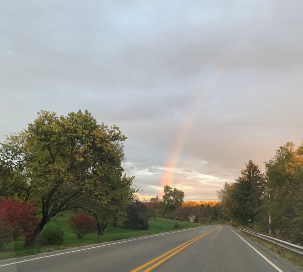 The Queer Corner | Swimming in&nbsp;visibility